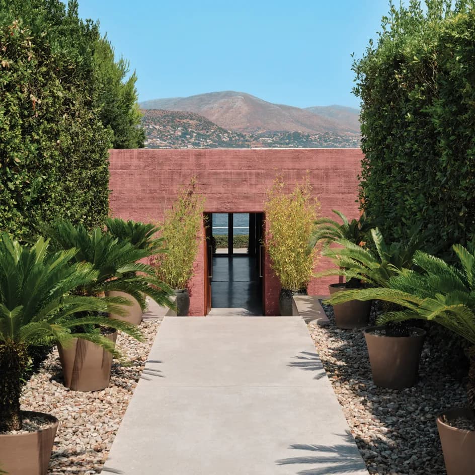 Palm-lined walkway leading to a red entrance with mountain views